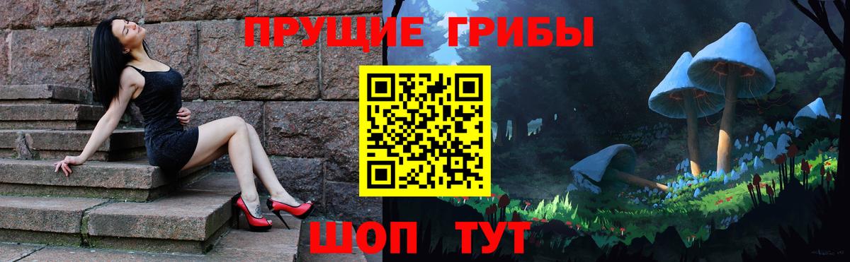 Псилоцибиновые грибы Psilocybe  Вход с VPN  Свободный  Галлюциногенные грибы Magic Shrooms 